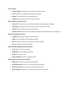 Uses of Plants for Kids