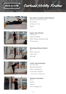 Overhead Mobility Routine for Shoulders