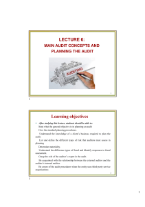 Audit Planning & Risk Concepts Guide