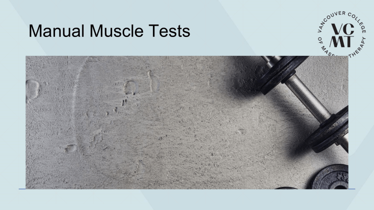Manual Muscle Testing Guide for PT Students