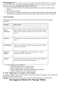 Proteoglycans and Aggrecan: Structure and Function