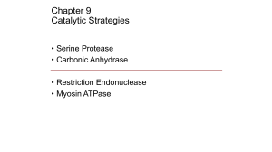 Enzyme Catalytic Strategies Lecture