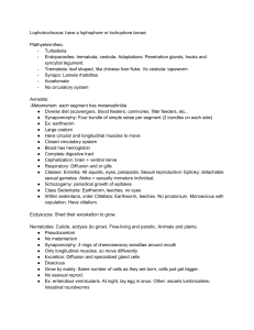 Invertebrate Zoology: Lophotrochozoa & Ecdysozoa