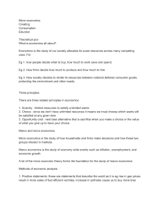 Microeconomics Lecture Notes & Guide