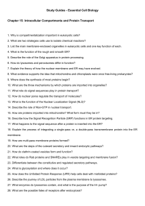 Essential Cell Biology Study Guide: Compartments, Signaling, Cytoskeleton