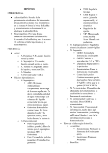 HIP&Oacute;FISIS: Embriolog&iacute;a y Fisiolog&iacute;a