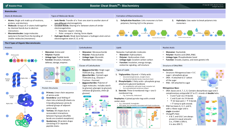 Biochemistry Cheat Sheet: Biomolecules & Macromolecules