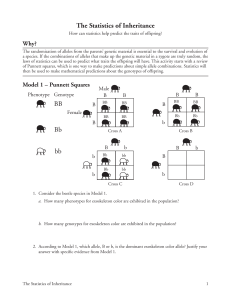 Statistics of Inheritance: Punnett Squares & Probability in Genetics