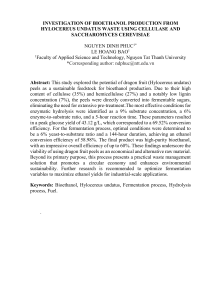 Bioethanol from Dragon Fruit Waste