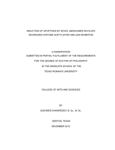 Novel Amidoximes Induce Apoptosis via p300 Inhibition and Histone Deacetylation