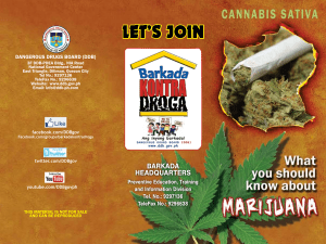 DDB Brochure: Effects of Marijuana and Drug Abuse Prevention