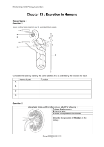 Cambridge IGCSE Biology: Excretion in Humans Question Bank