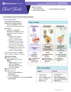 Nursing Study Guide: Acute Kidney Injury, CKD, and Dialysis