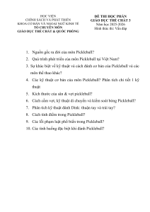 Sk&uacute;&scaron;ka z Pickleballu: Ot&aacute;zky a Odpovede