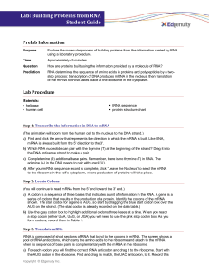 Lab Guide: Building Proteins from RNA - Student Guide