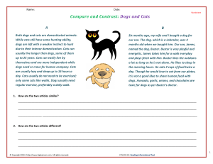 Compare and Contrast Dogs and Cats Worksheet