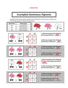 Genetics Worksheet on Incomplete Dominance