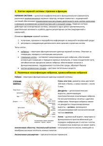 Cells of the Nervous System: Structure and Functions