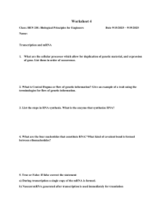 Transcription and mRNA Biology Worksheet