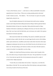 Sundown: A Post-Apocalyptic Fiction Excerpt