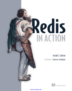 Redis in Action: A Guide to Redis Database