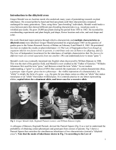 Dihybrid Cross Lab Manual: Mendelian Genetics