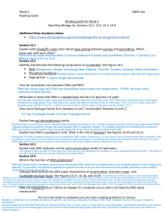 Biology DNA Replication & Repair Guide