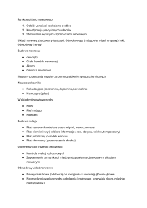 Budowa i funkcje układu nerwowego