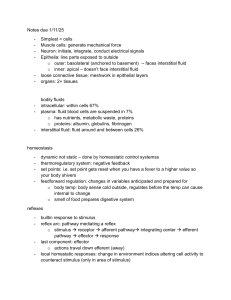 Biology Study Notes: Cells, Homeostasis, Circulatory System