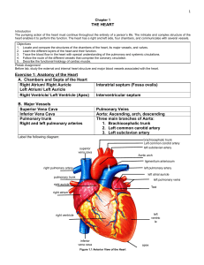 Chapter 1: The Heart - Anatomy and Structure