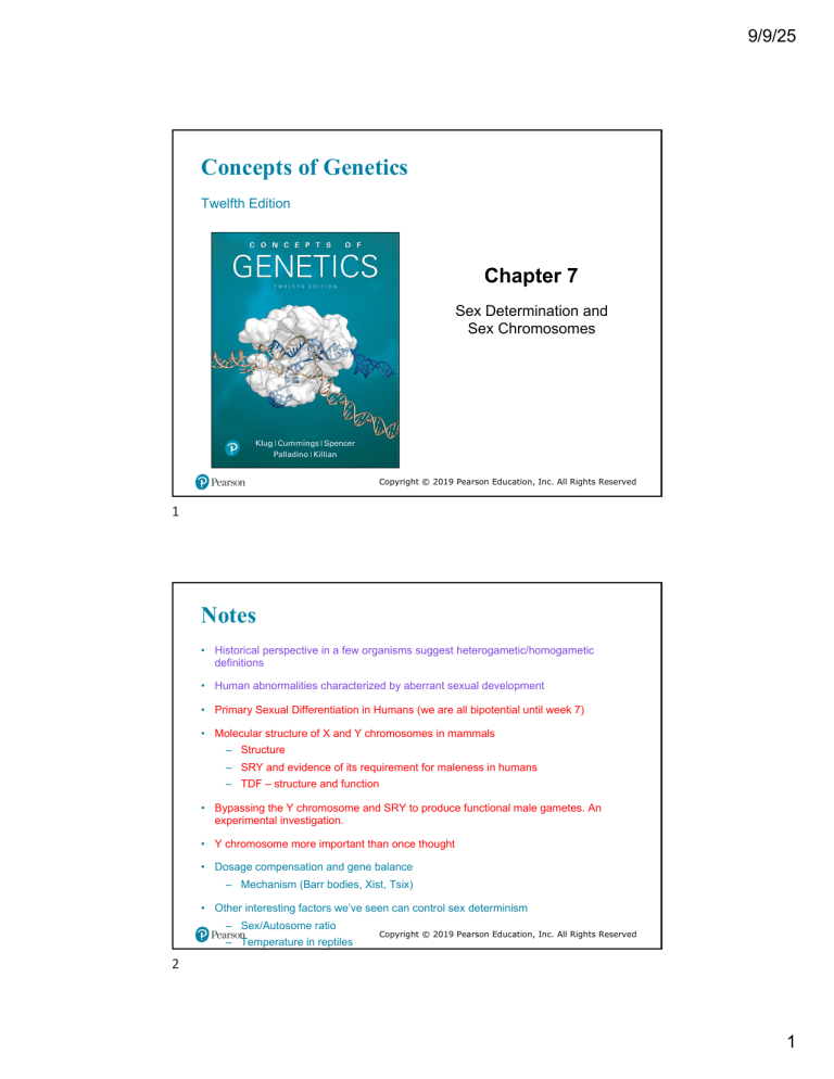 Chapter 7: Sex Determination and Sex Chromosomes