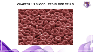 Chapter 1.5: Red Blood Cells - Biology