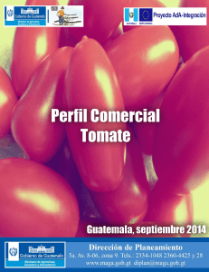 Perfil Comercial del Tomate: Exportaciones de Guatemala a UE y Centroam&eacute;rica