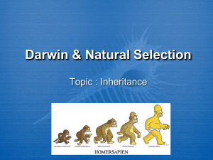Darwin & Natural Selection: Inheritance and Evolution Presentation