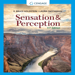 Sensation and Perception: Eye & Retina