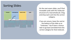 Macromolecule Classification Activity: Proteins, Carbohydrates, Lipids