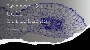 Plant & Animal Cell Structures Lesson