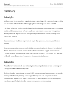 Information Systems: Big Data & BI Guide