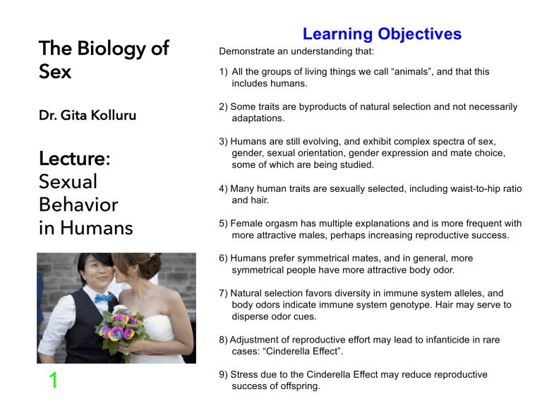 The Biology Of Sex Sexual Behavior In Humans the-biology-of-sex-sexual-behavior-in-humans