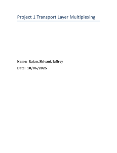 Project 1: Transport Layer Multiplexing (TCP/UDP Test Report)