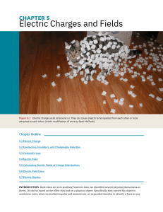 Electric Charges and Fields Textbook Chapter
