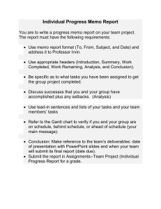 Team Project Progress Memo Report Guidelines