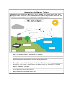 Biogeochemical Cycles: Carbon Cycle Worksheet