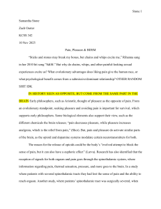 The Neuroscience of Pain and Pleasure in BDSM