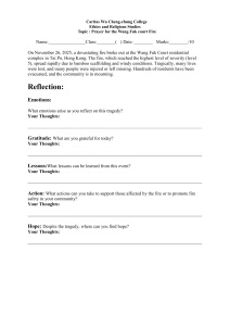 Wang Fuk Court Fire Ethics Worksheet