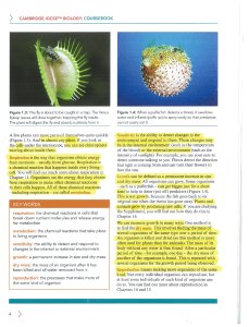 Dichotomous Key Worksheet for Leaf Identification Biology