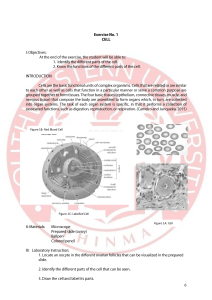 Histology and Endocrine System Study Guide