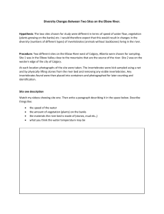 Elbow River Invertebrate Diversity Study Worksheet