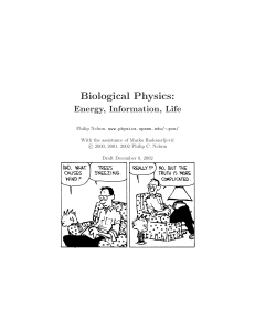 Biological Physics: Energy, Information, Life - Philip Nelson