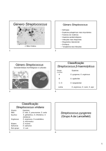Microbiologia: G&eacute;nero Streptococcus e Enterococcus